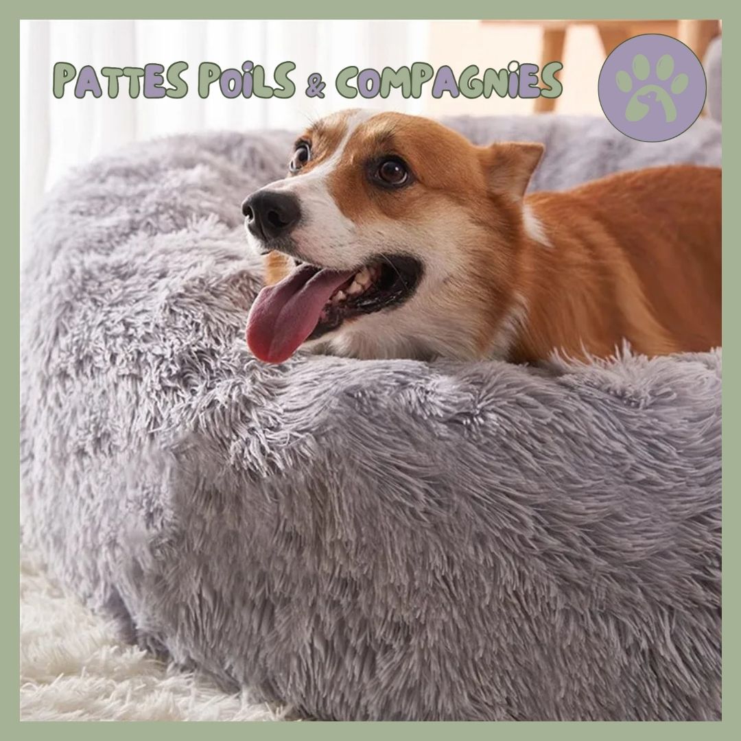 Couchage pour chien | Pet - Nest™ - Pattes Poils & Compagnies
