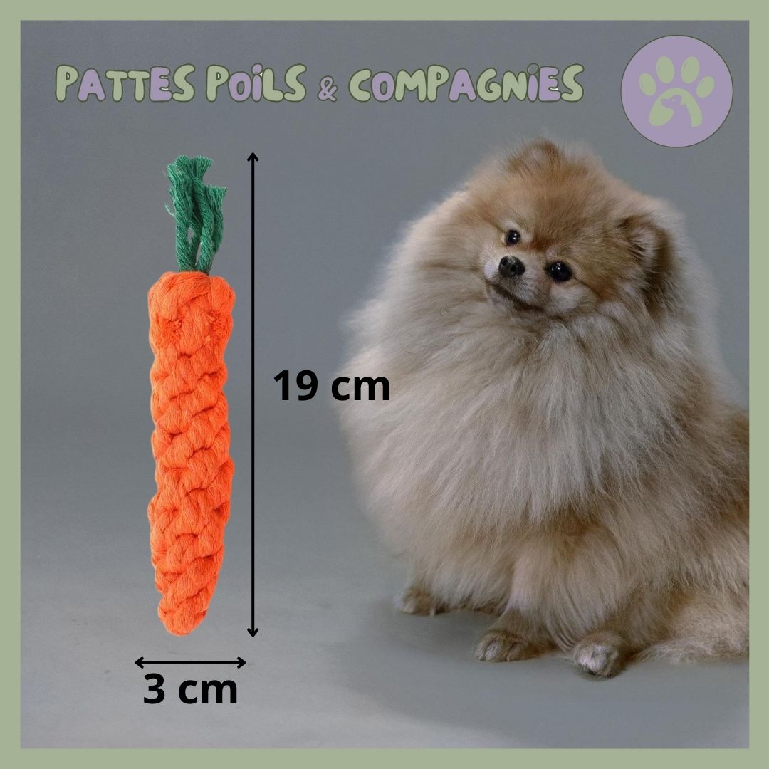 Jouet de mastication pour chien | Croque - Carotte™ - Pattes Poils & Compagnies
