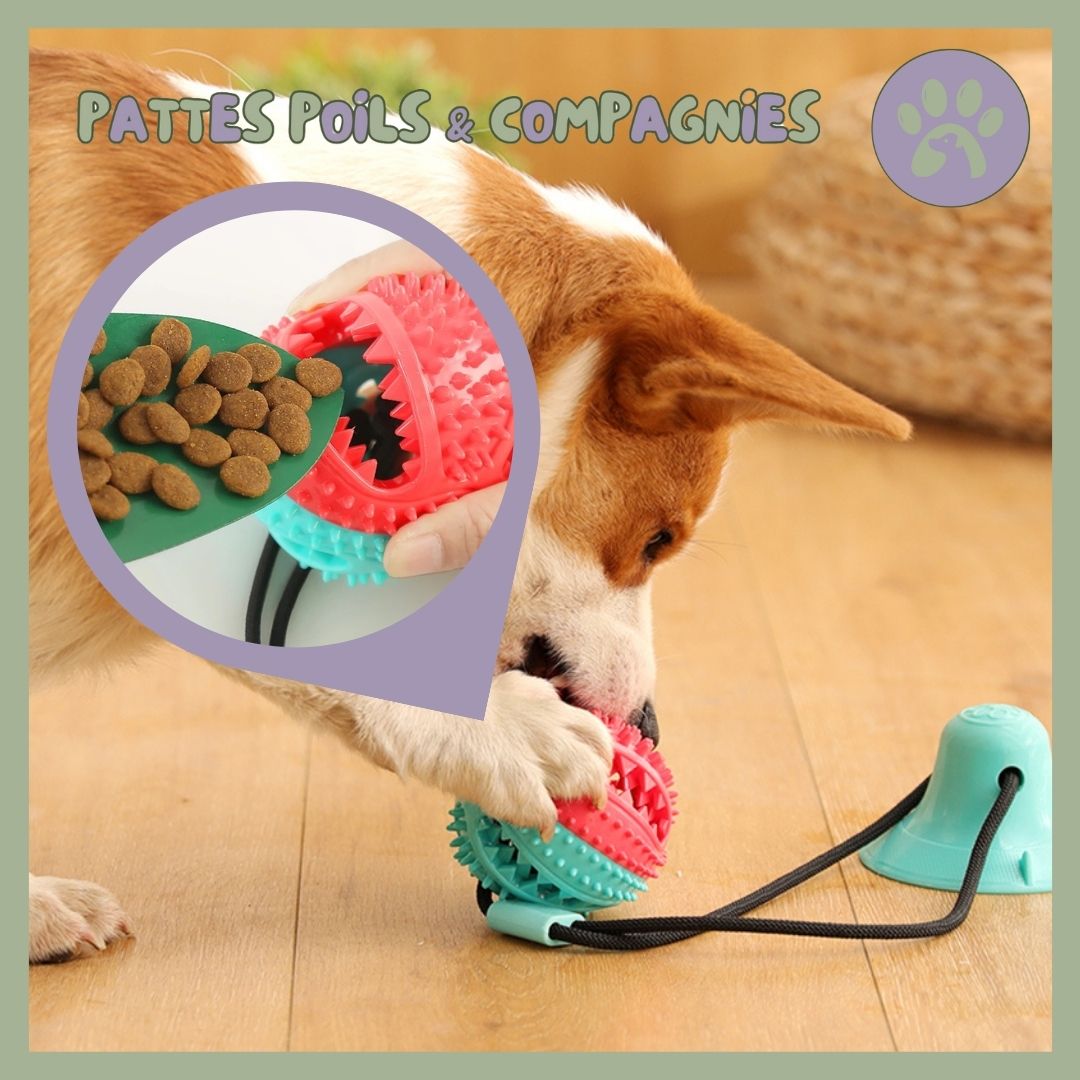 Jouet pour chien interactif | Tir - Fort™ - Pattes Poils & Compagnies