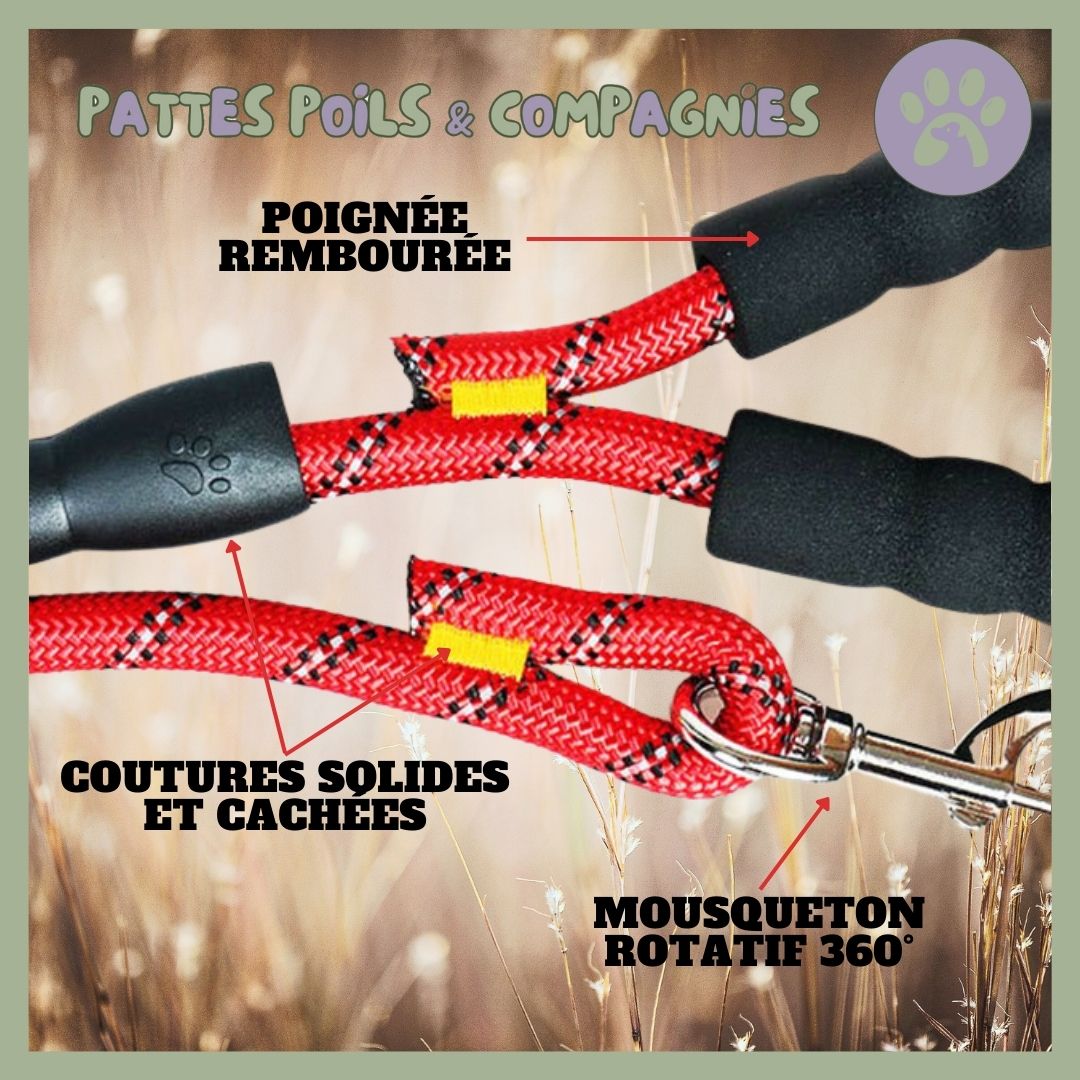 Laisse chien en corde | Laisse - Éduc™ - Pattes Poils & Compagnies
