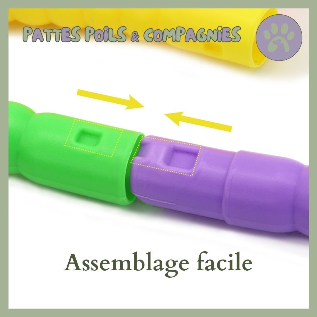 Parcours agility chien | Chien - Agile™ - Pattes Poils & Compagnies