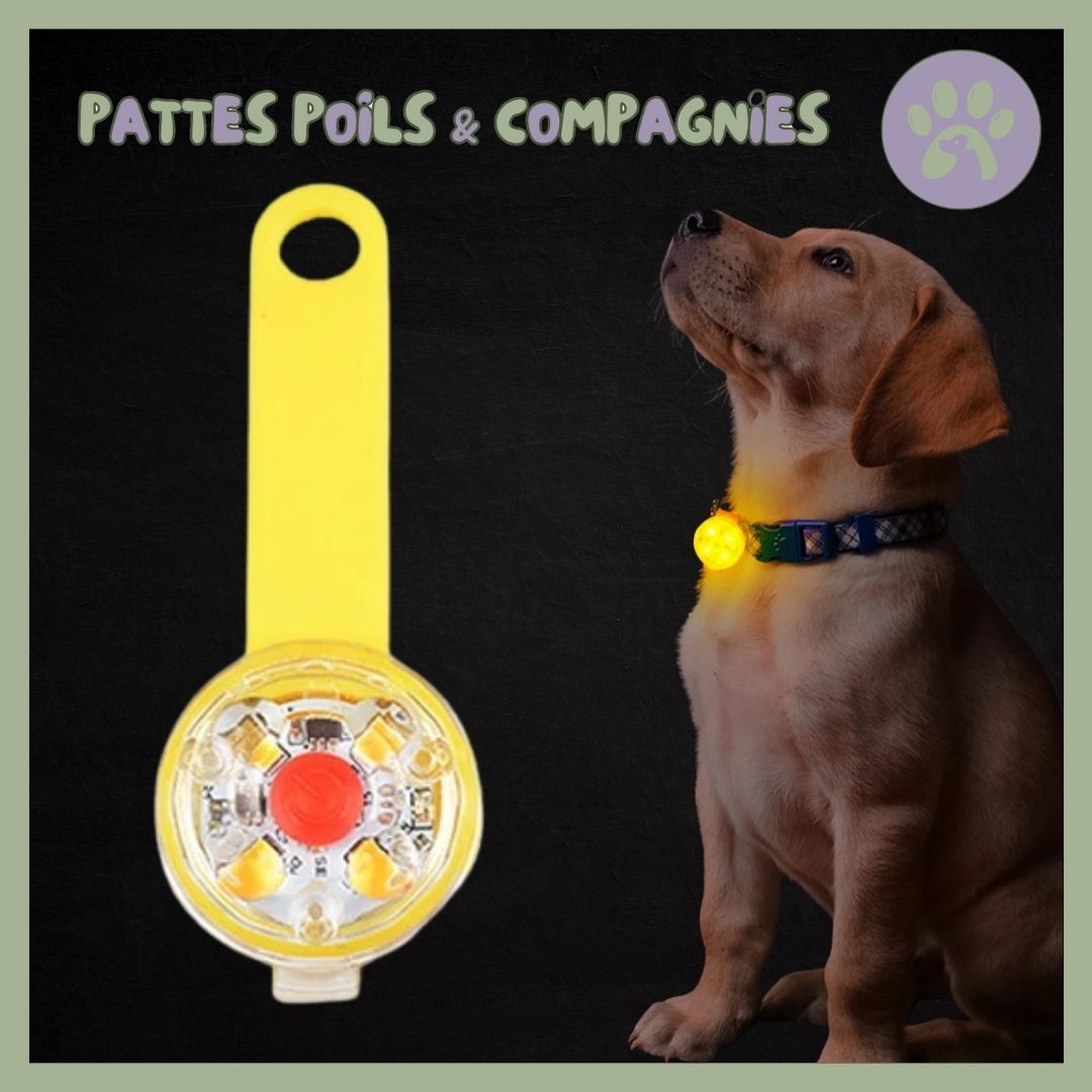Pendentif lumineux rechargeable | Doogy - Light™ - Pattes Poils & Compagnies