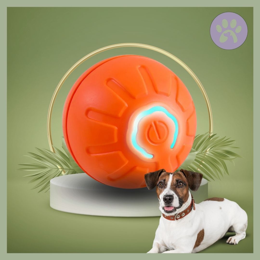 Balle Interactive Pour Chien - Jouet à Mâcher En Caoutchouc, 3 Balles, Pour Chiots Et Chiens De Toutes Tailles