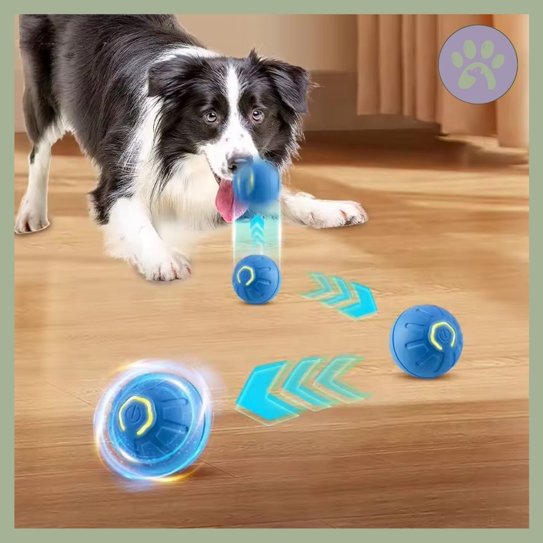 Balle Sonore Interactive Pour Chien - Avec Compartiment à Friandises, Pour Petits, Moyens Et Grands Chiens
