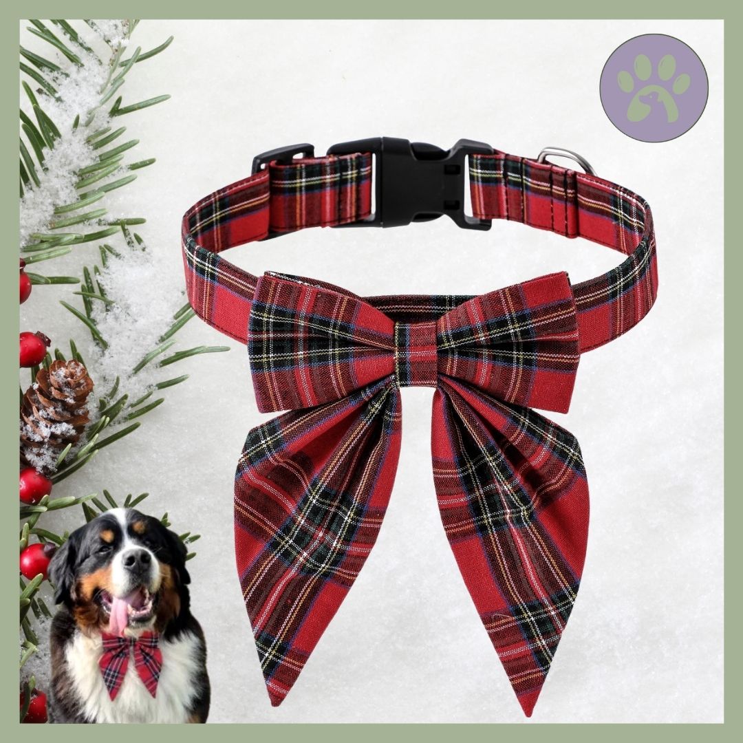 Collier-de-Noel-pour-chien-Pretty-Bow-Rouge