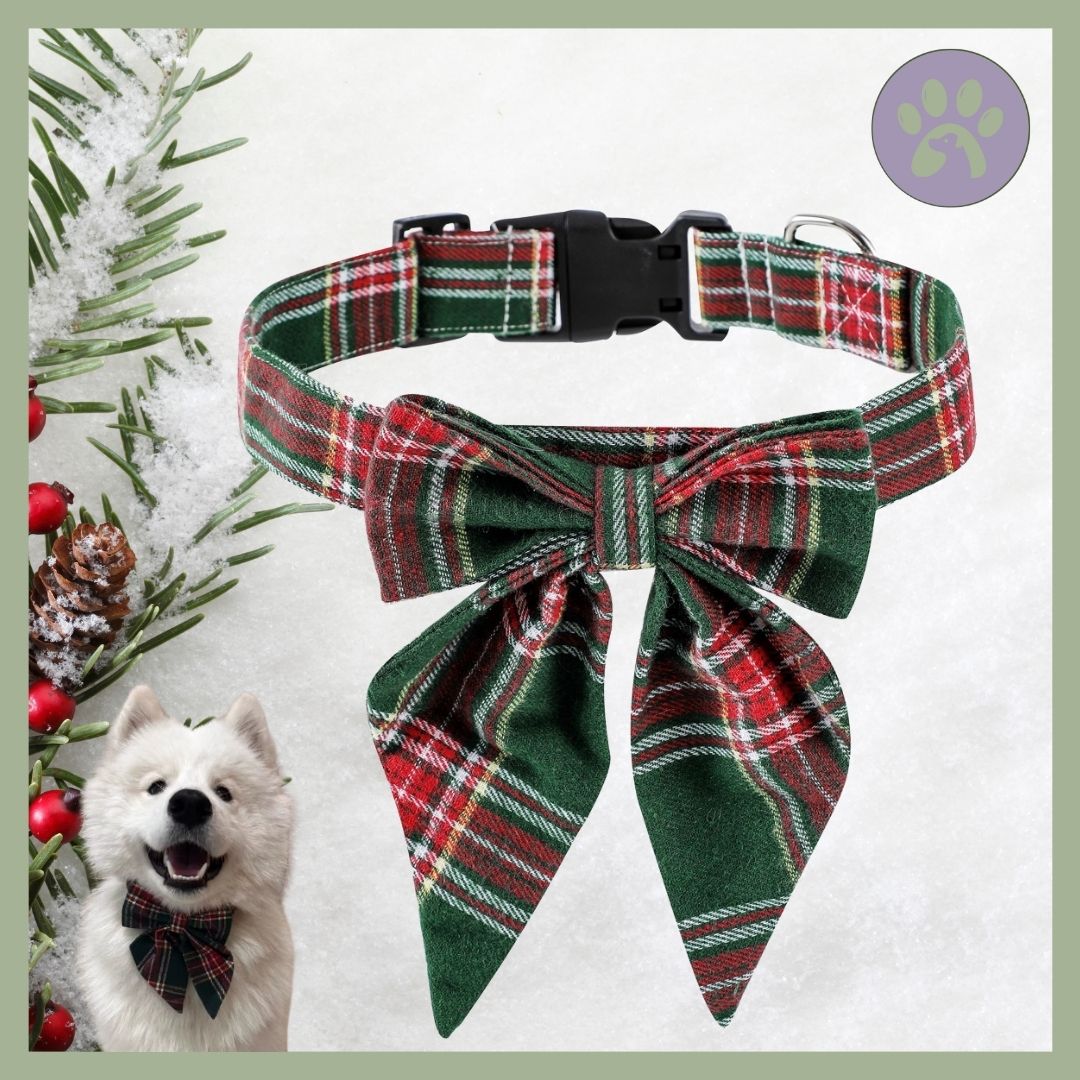 Collier-de-Noel-pour-chien-Pretty-Bow-Vert