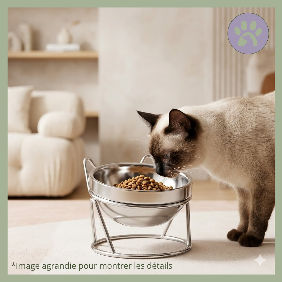 Gamelle-Chat-Surelevee_-_Acier-Inoxydable-Felinox-avec-chat