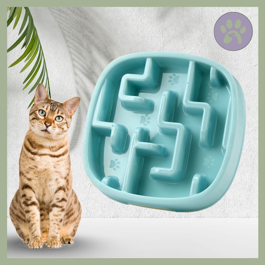 Gamelle anti glouton chat | DigestSlow™