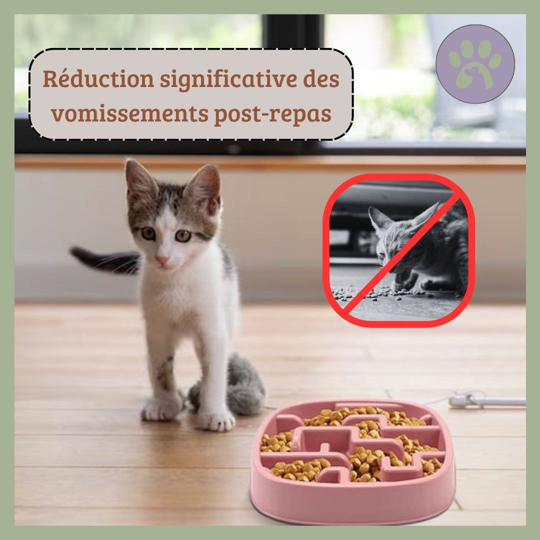 Gamelle anti glouton chat | DigestSlow™