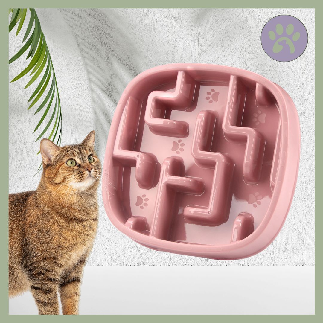 Gamelle anti glouton chat | DigestSlow™