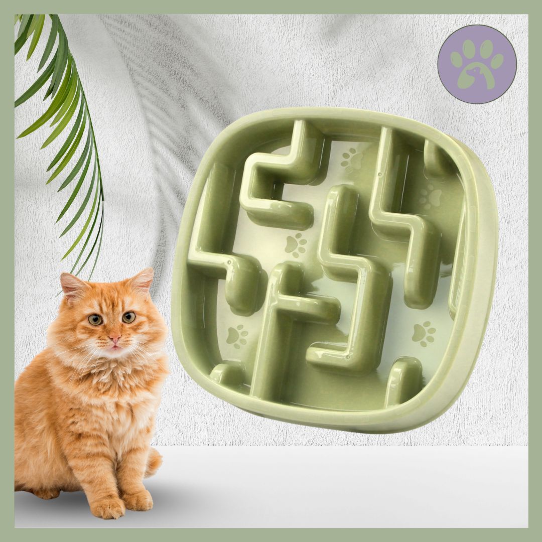 Gamelle anti glouton chat | DigestSlow™