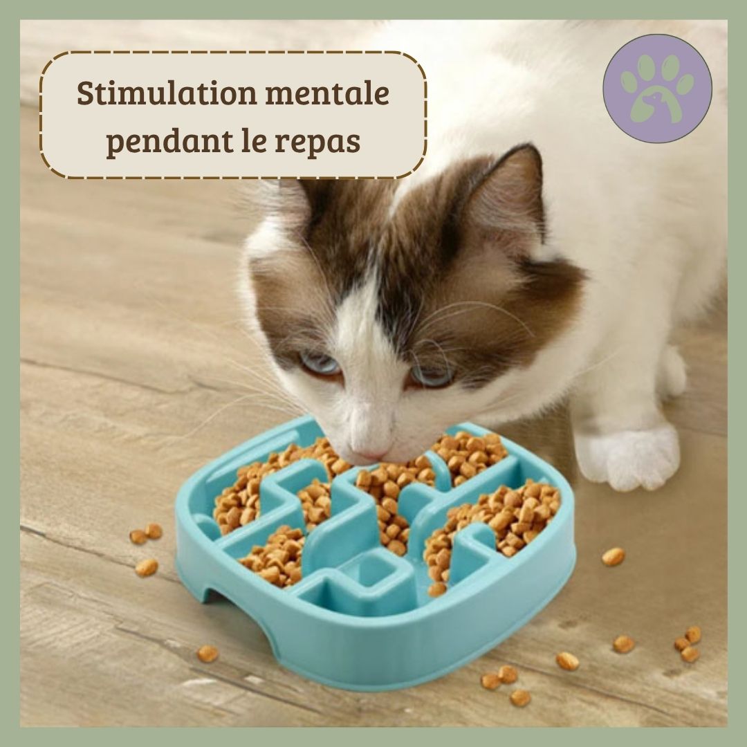 Gamelle anti glouton chat | DigestSlow™
