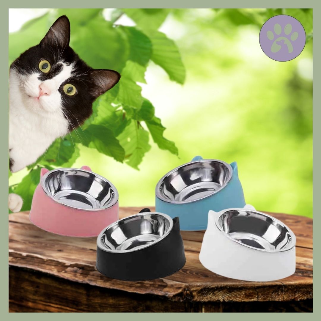 Gamelle-chat-Inoxycat-4-couleurs