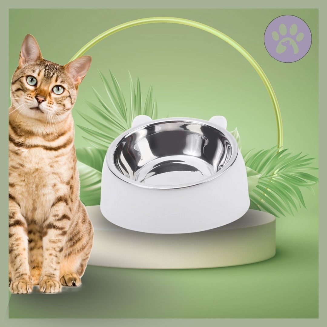 Gamelle-chat-Inoxycat-Blanc