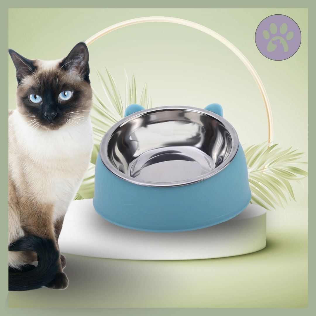 Gamelle-chat-Inoxycat-Bleu