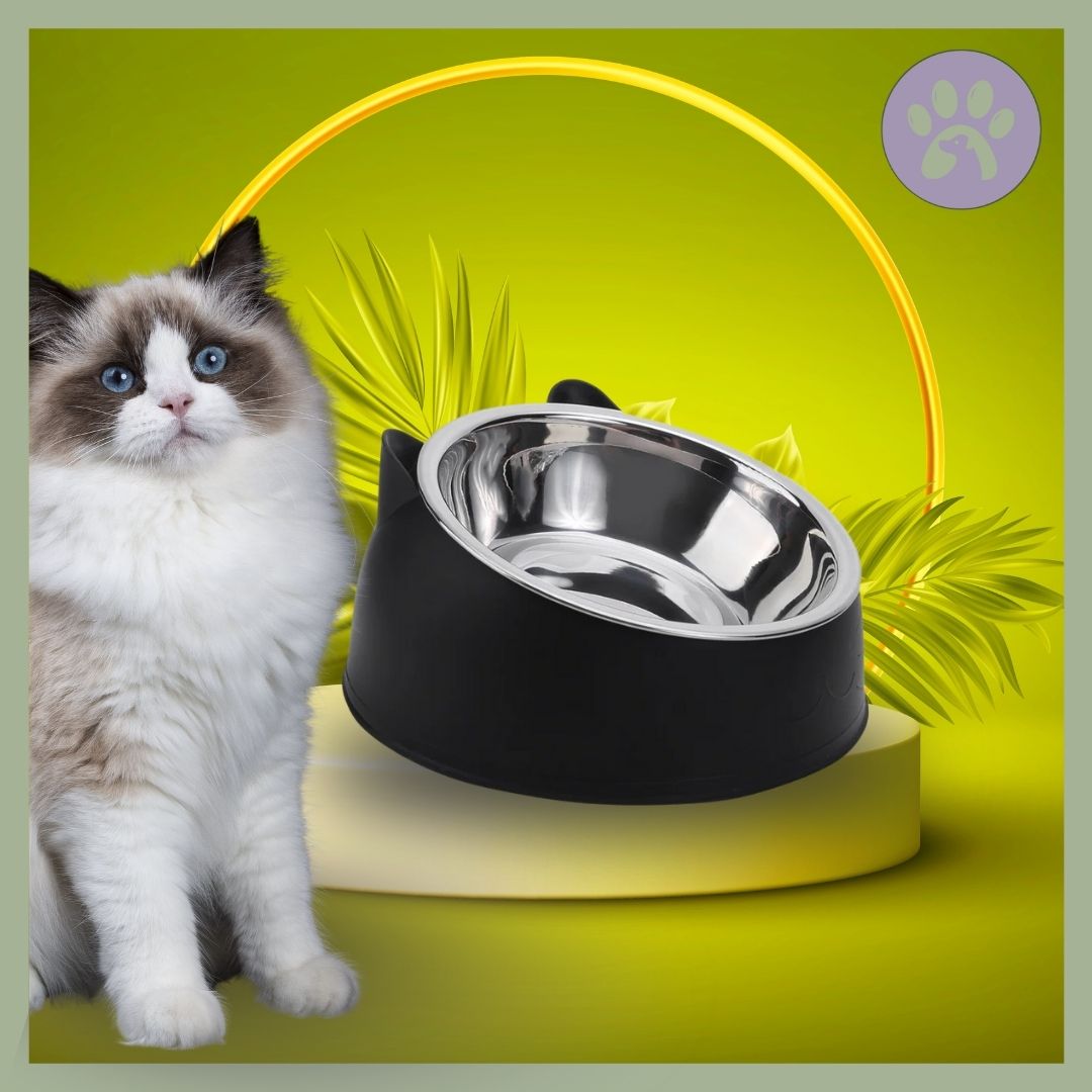 Gamelle-chat-Inoxycat-Noir