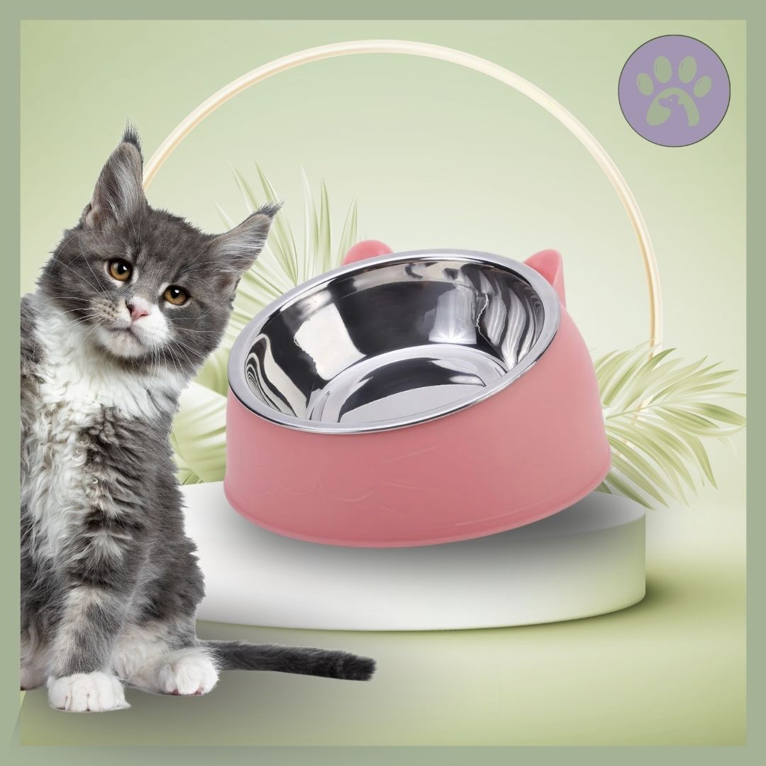 Gamelle-chat-Inoxycat-Rose