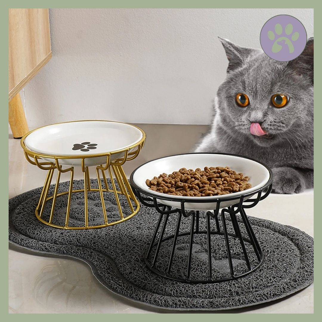 Gamelle chat - Moustachami™