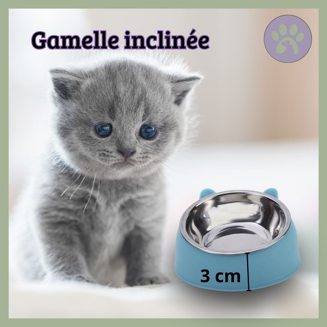 Gamelle-chat_-_Inoxycat-chaton-dimension