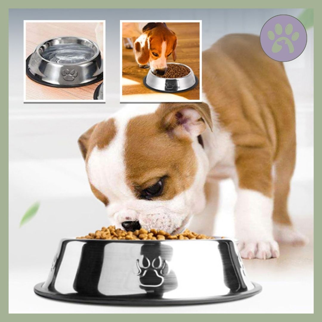 Gamelle-chien-Inoxsafe-chiot-nourriture