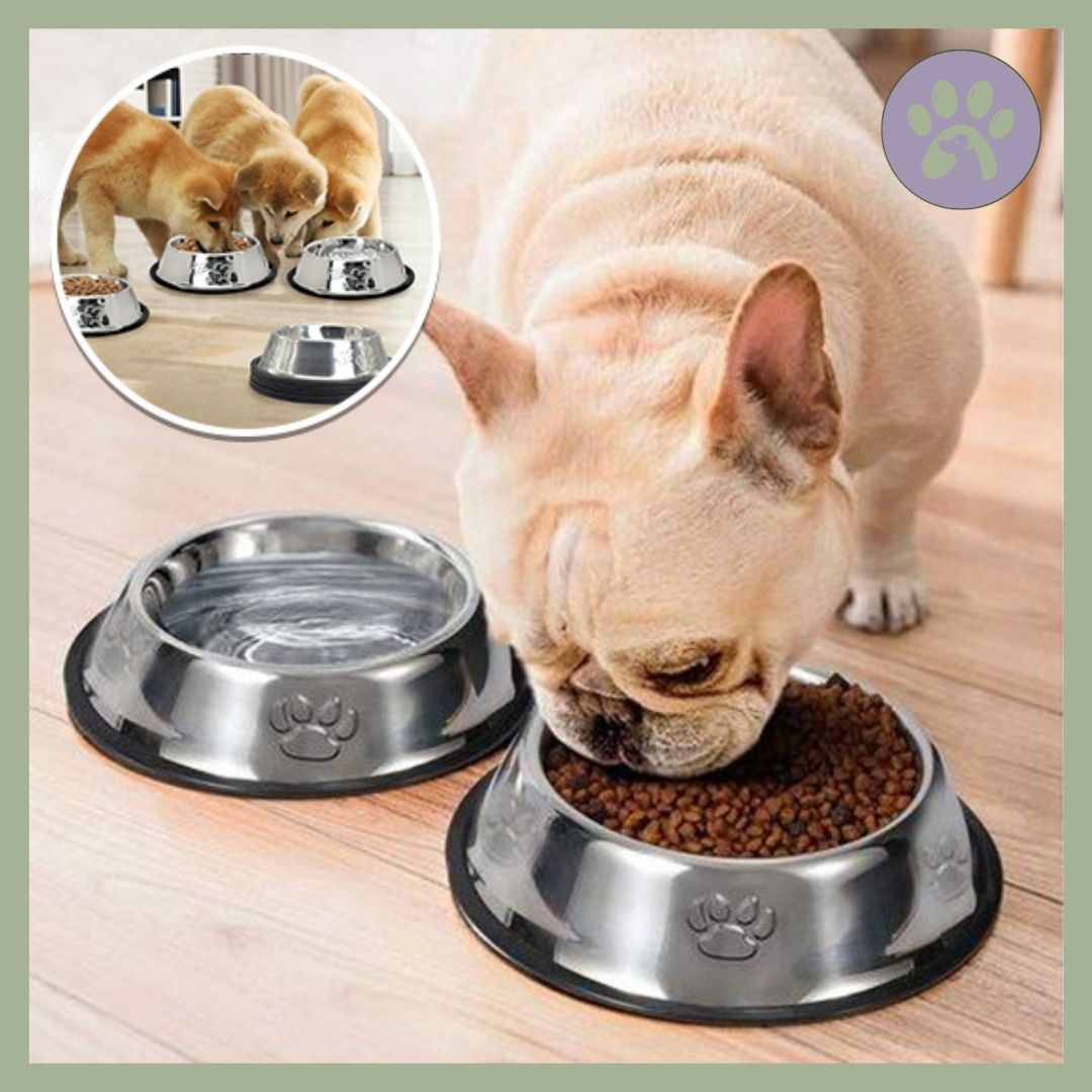 Gamelle-chien-Inoxsafe-petit-chien-mange