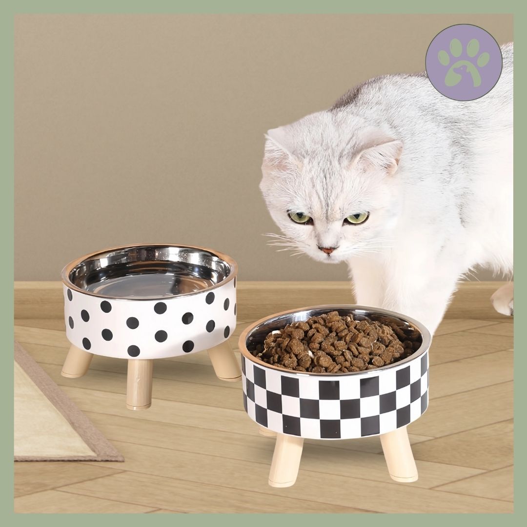Gamelle_chat_Bol_Pattes_cover