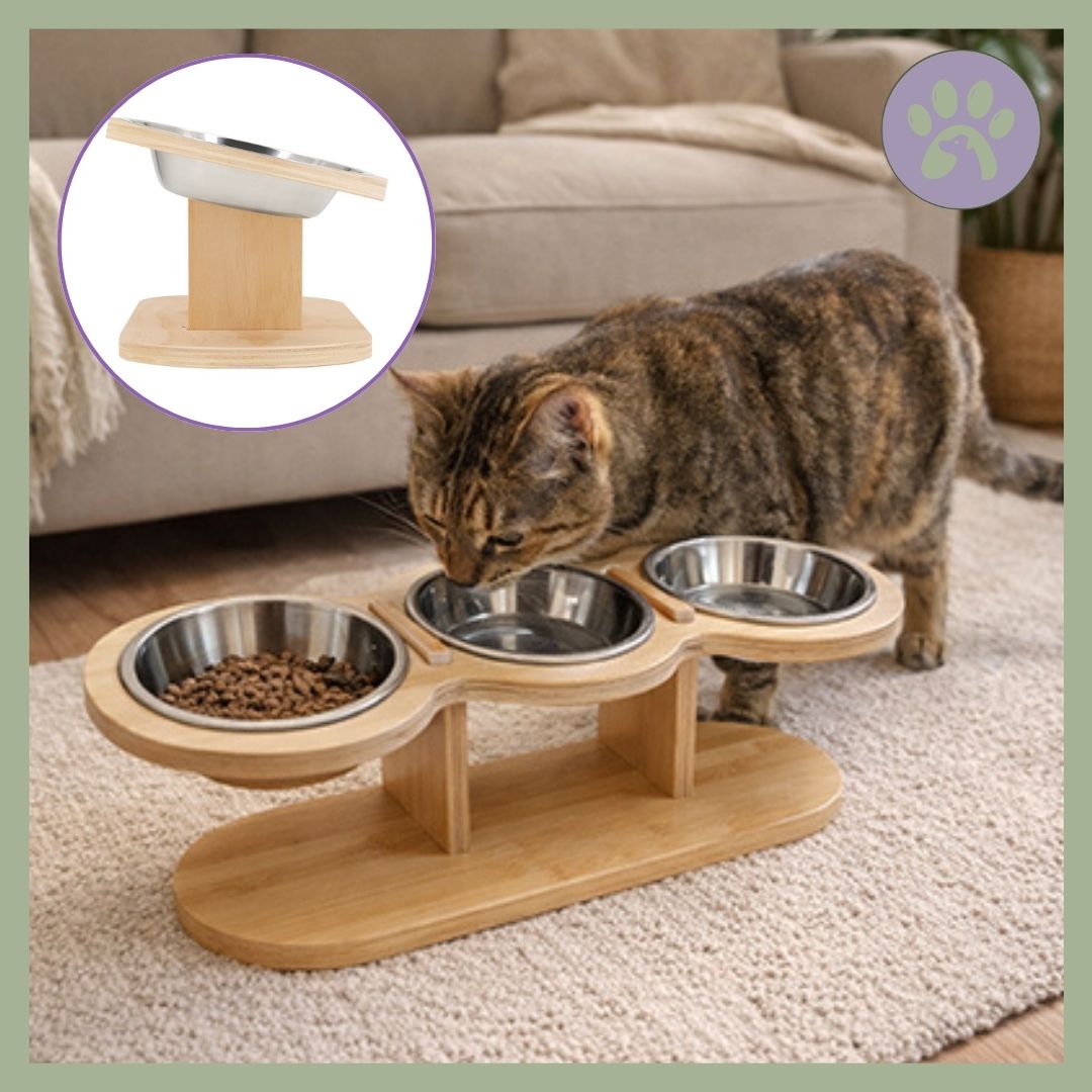 Gamelle chat triple en stainless