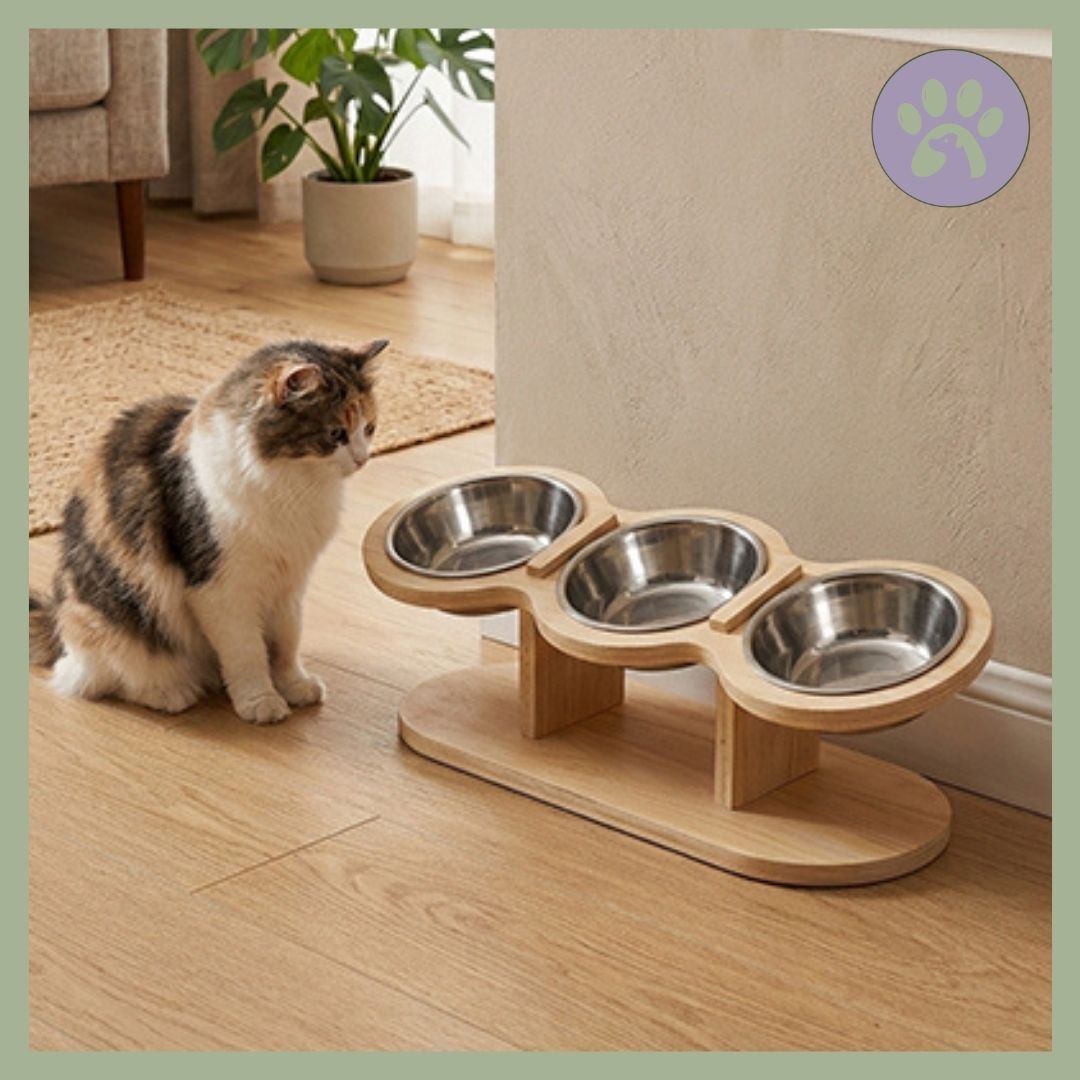 Gamelle chat triple incline