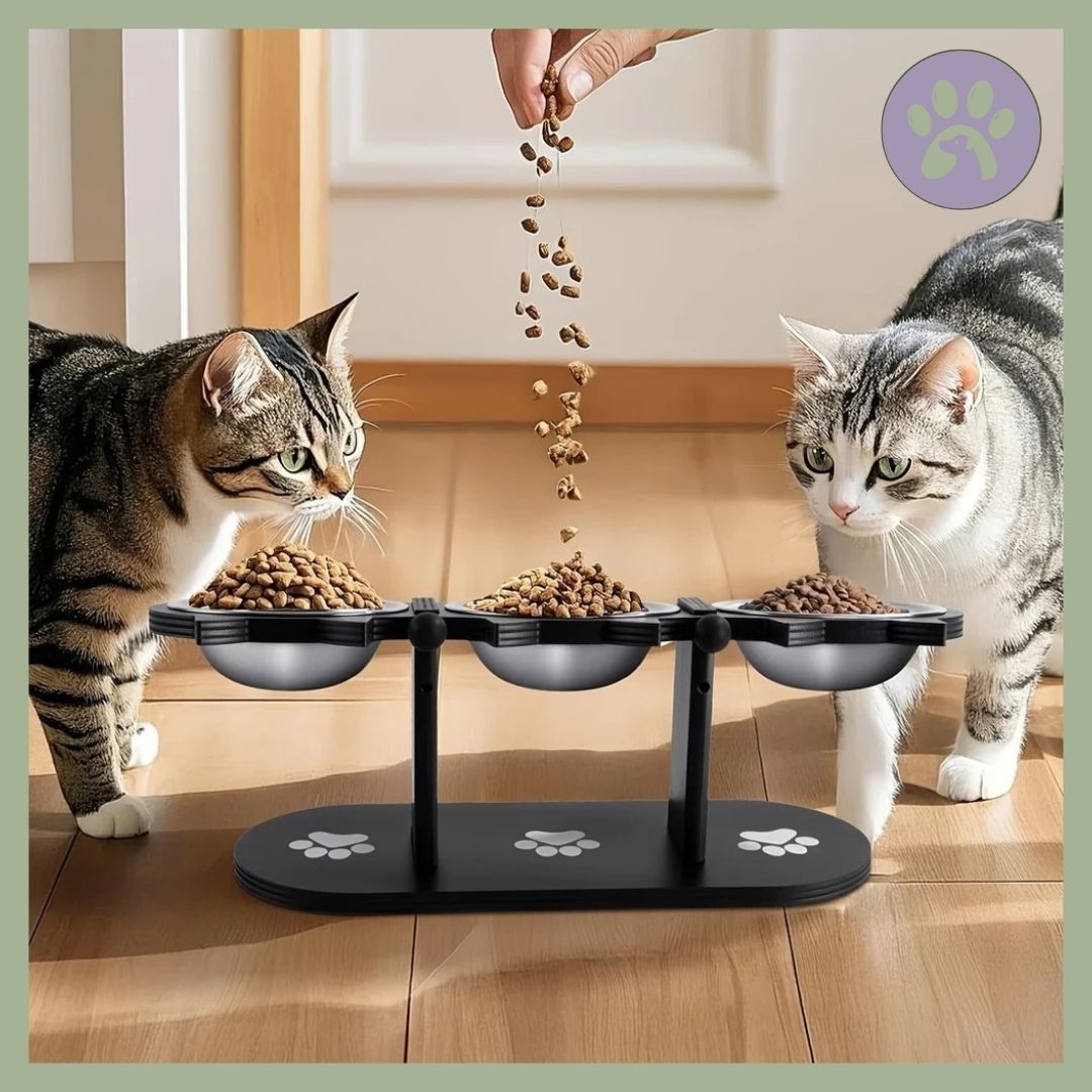 Gamelle chat triple noir