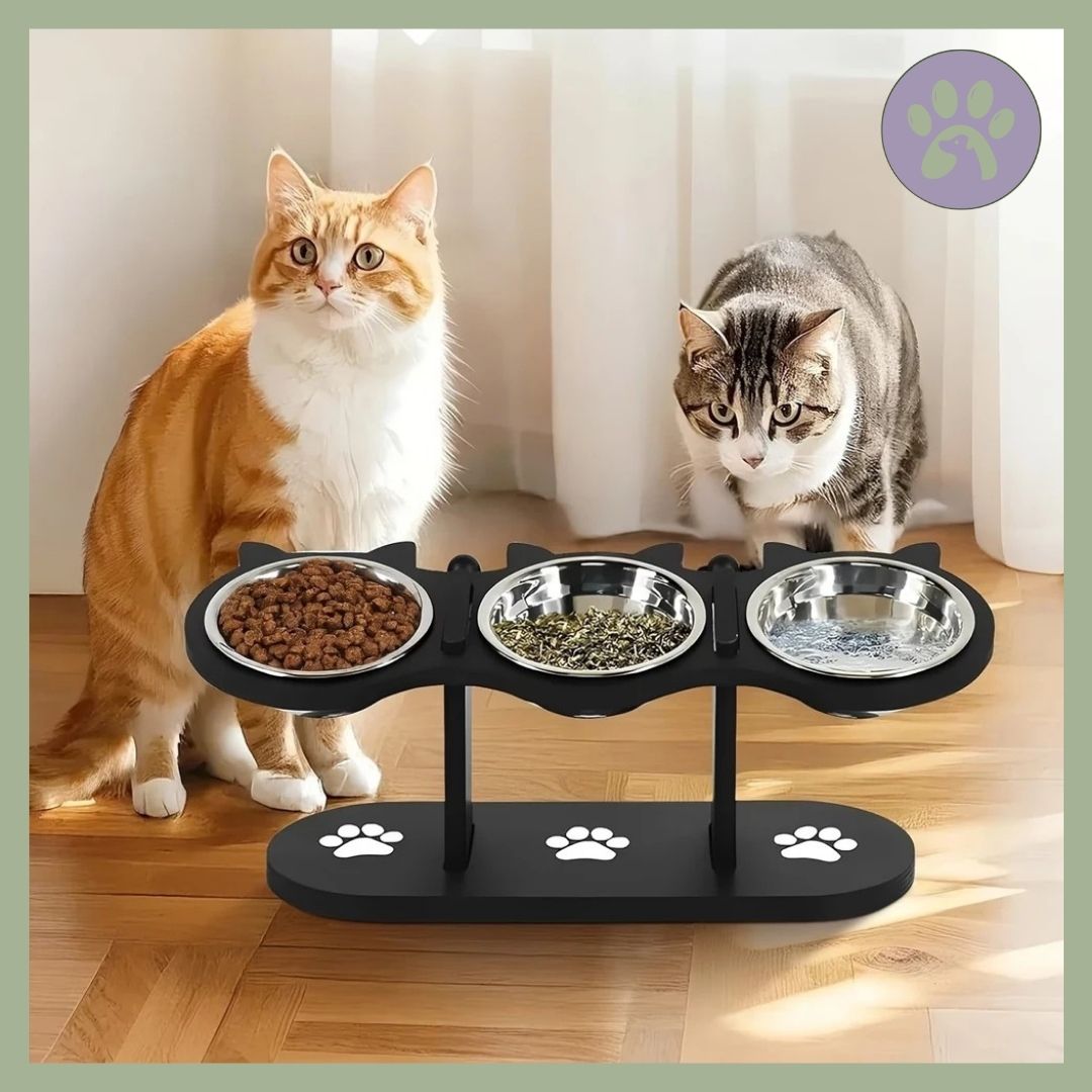 Gamelle chat triple noir et pattes  