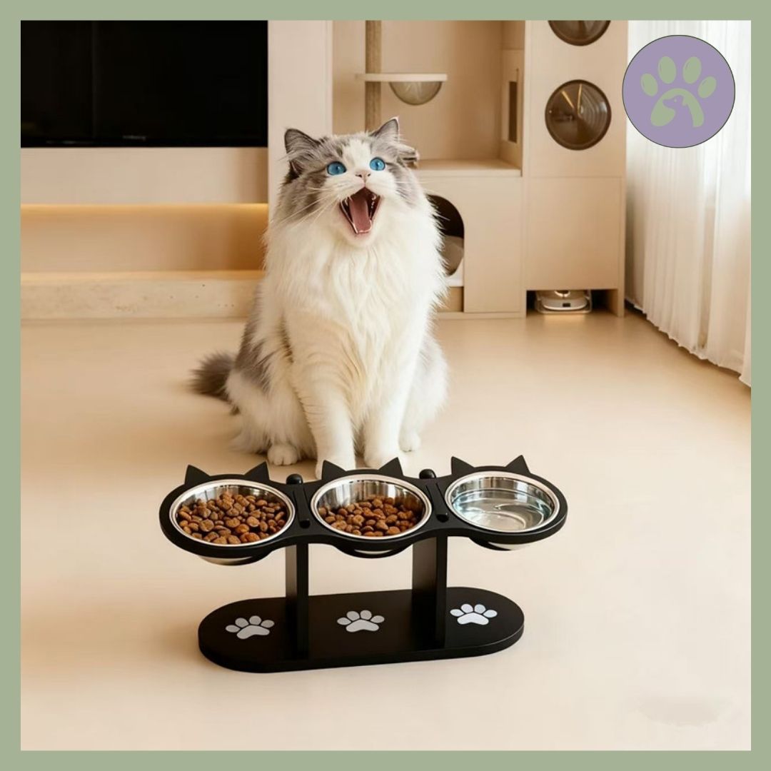 Gamelle chat triple noir oreille