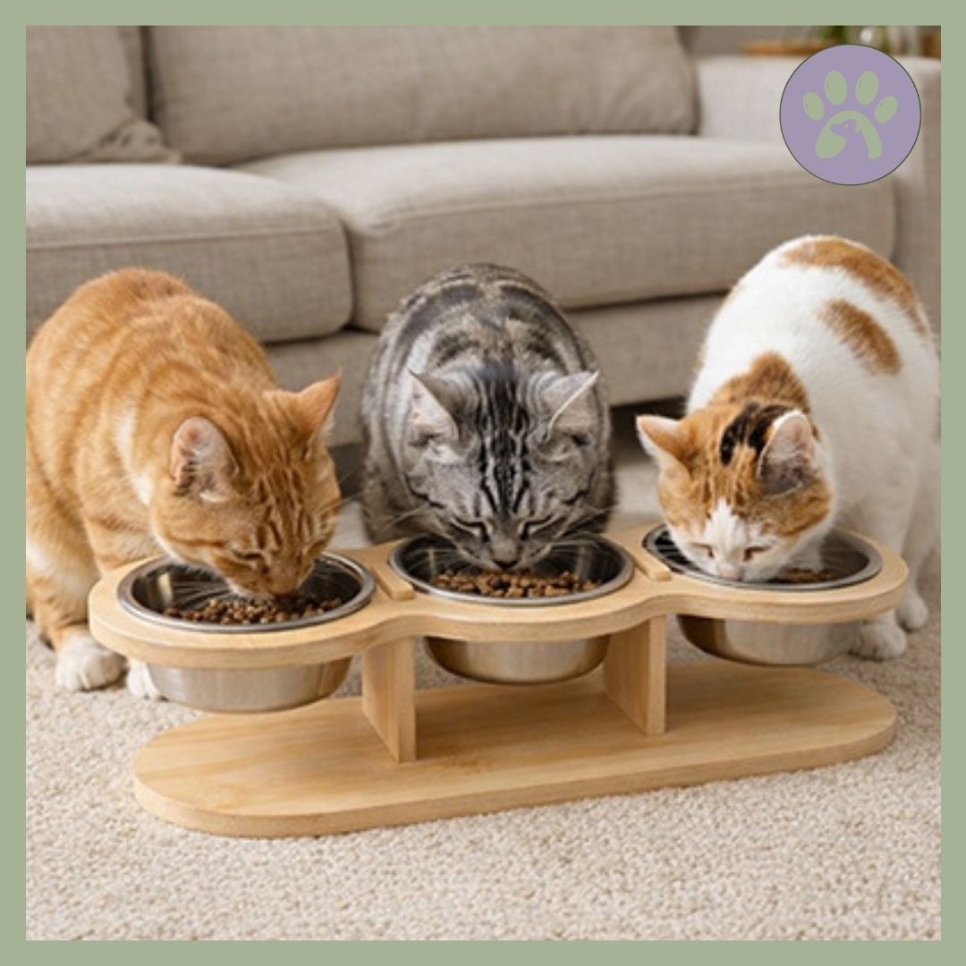 Gamelle triple en bois pour chat
