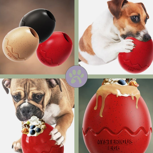 Jouet-pour-chien-Mysterious-Egg-presentation