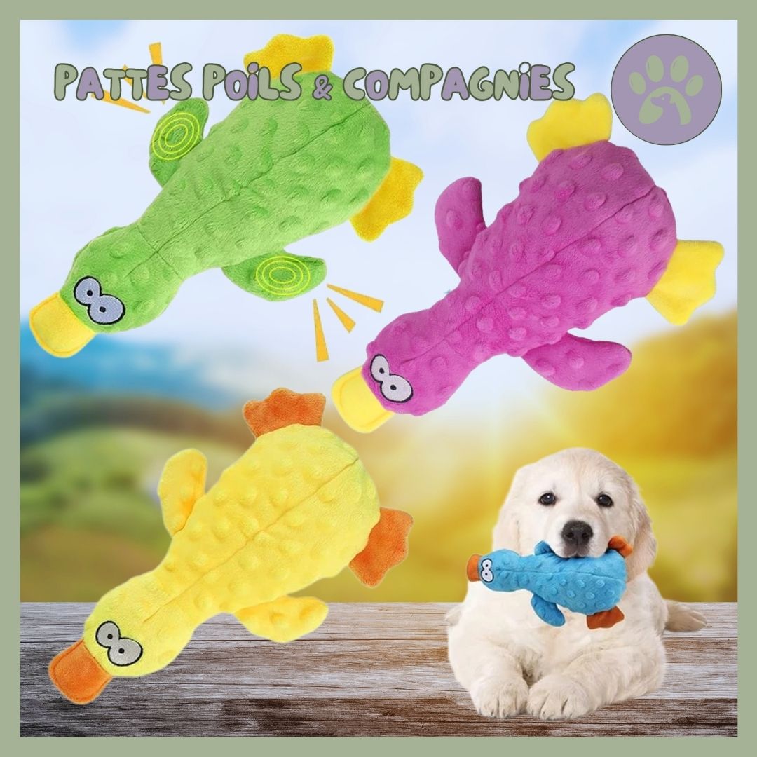 Peluche pour chien | Squeaky-Pet™ Canard