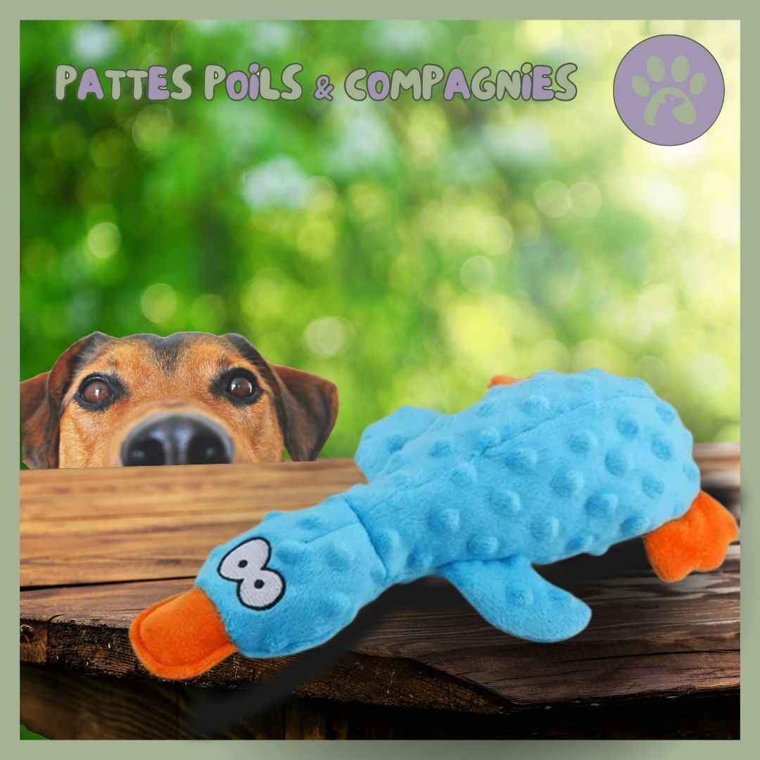 Peluche pour chien | Squeaky-Pet™ Canard