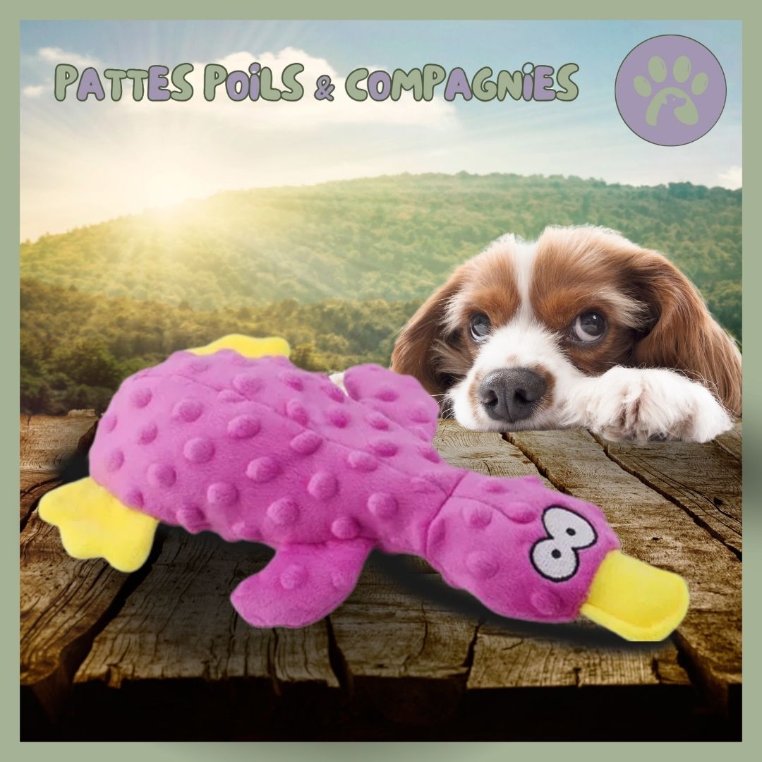 Peluche pour chien | Squeaky-Pet™ Canard