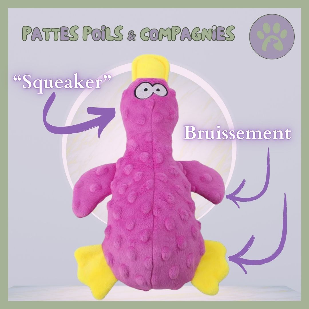 Peluche pour chien | Squeaky-Pet™ Canard