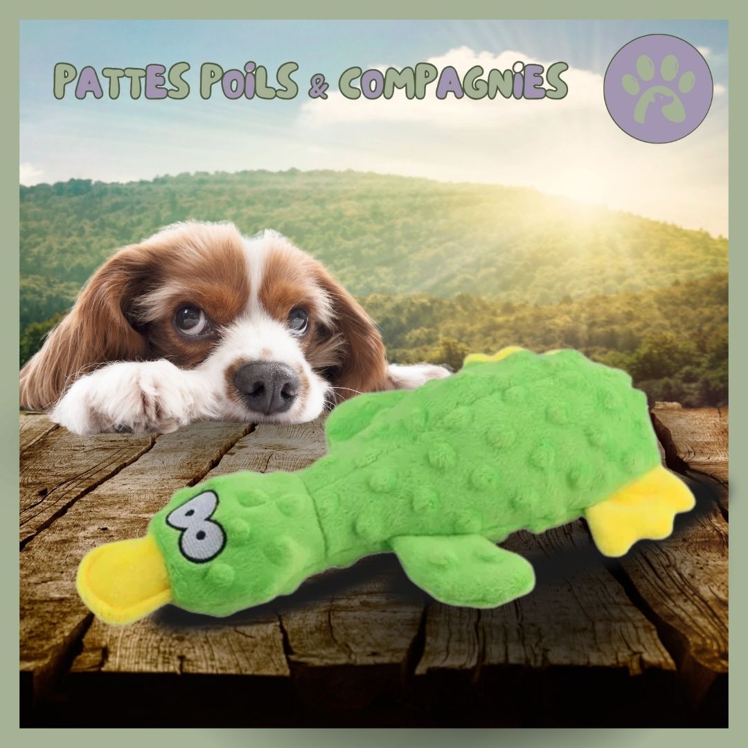 Peluche pour chien | Squeaky-Pet™ Canard