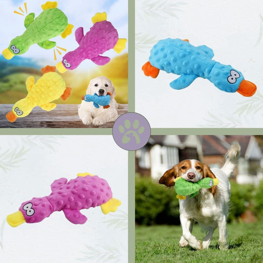 Peluche pour chien | Squeaky-Pet™ Canard