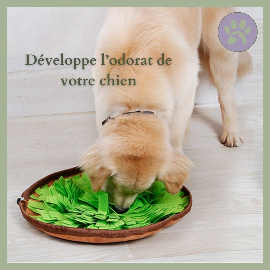 Tapis-de-reniflage-Snif-N-Eat-stimulant