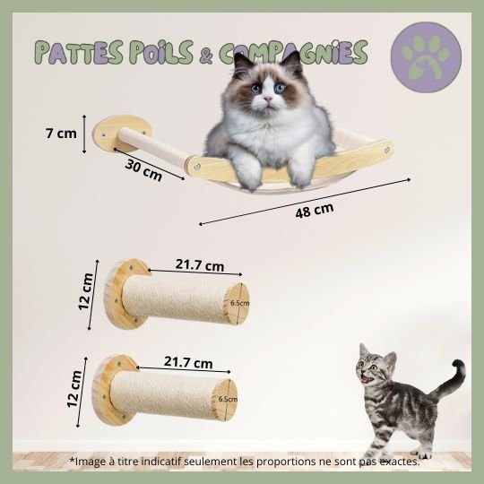 Accessoires d'escalade pour chat | Climbing - Cat - Air™ - Pattes Poils & Compagnies