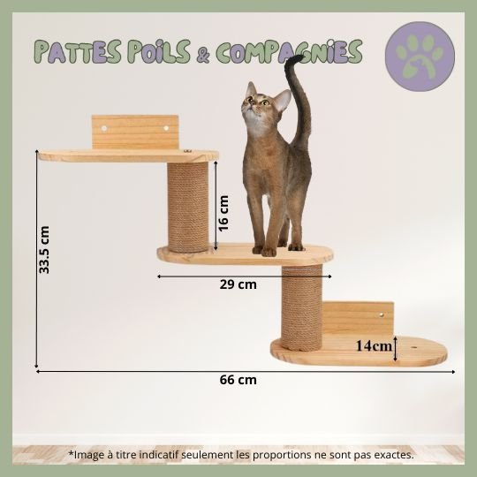 Accessoires d'escalade pour chat | Climbing - Cat - Air™ - Pattes Poils & Compagnies