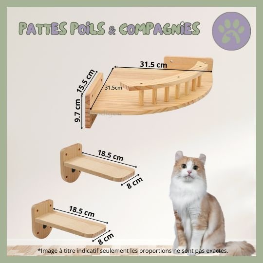 Accessoires d'escalade pour chat | Climbing - Cat - Air™ - Pattes Poils & Compagnies