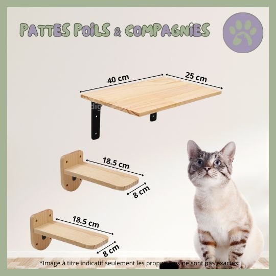 Accessoires d'escalade pour chat | Climbing - Cat - Air™ - Pattes Poils & Compagnies