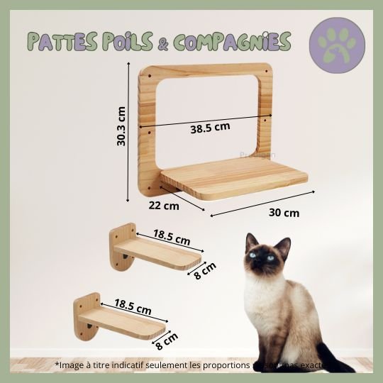 Accessoires d'escalade pour chat | Climbing - Cat - Air™ - Pattes Poils & Compagnies