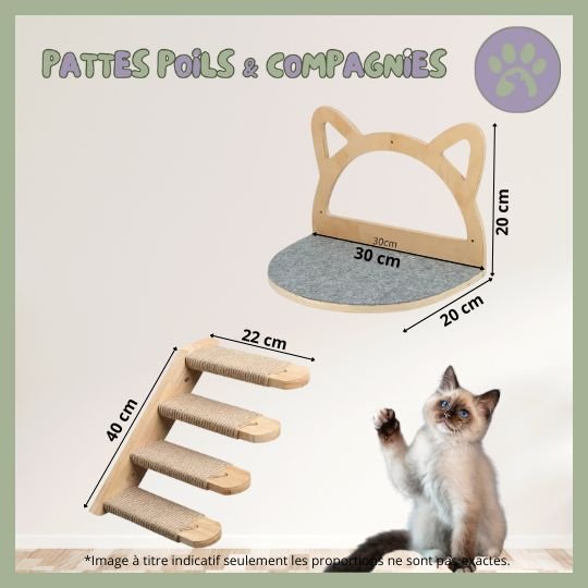 Accessoires d'escalade pour chat | Climbing - Cat - Air™ - Pattes Poils & Compagnies