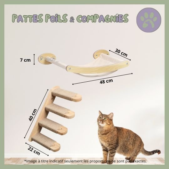 Accessoires d'escalade pour chat | Climbing - Cat - Air™ - Pattes Poils & Compagnies