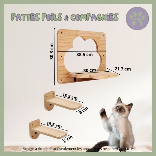 Accessoires d'escalade pour chat | Climbing - Cat - Air™ - Pattes Poils & Compagnies