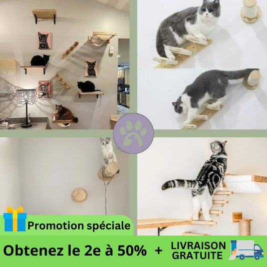 Accessoires d'escalade pour chat | Climbing - Cat - Air™ - Pattes Poils & Compagnies