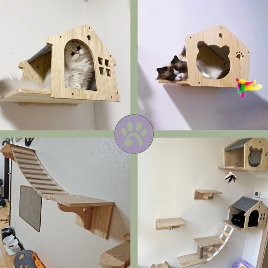 Accessoires d'escalade pour chat | Climbing - Cat - House™ - Pattes Poils & Compagnies